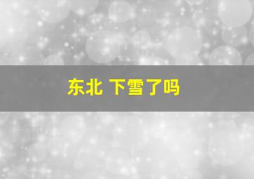 东北 下雪了吗